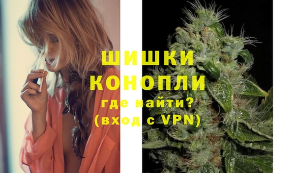 PSILOCYBIN Балахна
