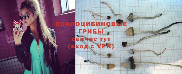 хмурый Баксан