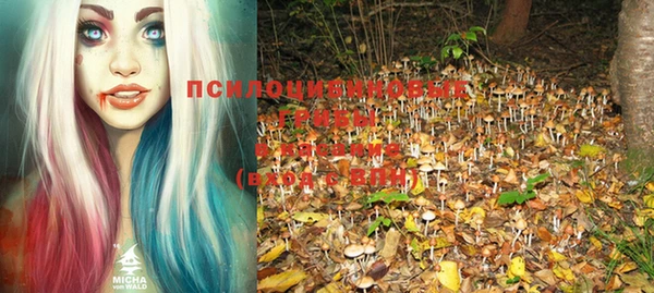 PSILOCYBIN Балахна